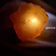 الصورة الأولى