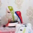 الصورة الأولى