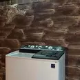 First Image