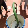 الصورة الأولى