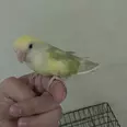الصورة الأولى