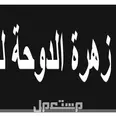 الصورة الأولى