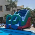 الصورة الأولى