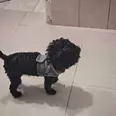 الصورة الأولى