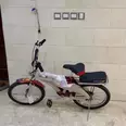 الصورة الأولى