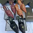 الصورة الأولى