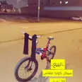 الصورة الأولى