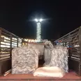 الصورة الأولى