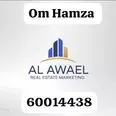 الصورة الأولى