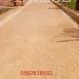 First Image