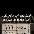 الصورة الأولى