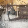 الصورة الأولى