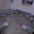 الصورة الأولى