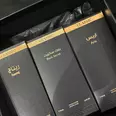 الصورة الأولى