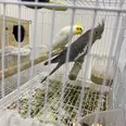 الصورة الأولى