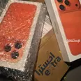 الصورة الأولى