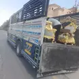 الصورة الأولى