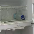 First Image