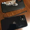 First Image