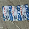 الصورة الأولى