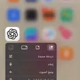 الصورة الأولى