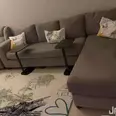 الصورة الأولى