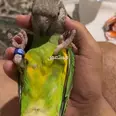 الصورة الأولى