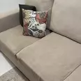 الصورة الأولى