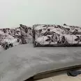 الصورة الأولى