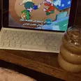 الصورة الأولى