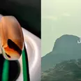 الصورة الأولى