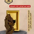 الصورة الأولى