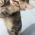 الصورة الأولى