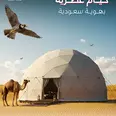 الصورة الأولى