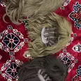 الصورة الأولى