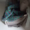 الصورة الأولى