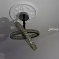 First Image