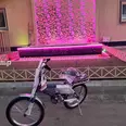 الصورة الأولى
