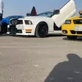الصورة الأولى