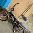 الصورة الأولى