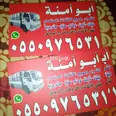 الصورة الأولى