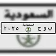 الصورة الأولى