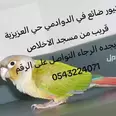 الصورة الأولى