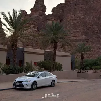 في تبوك